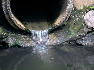 Severn Trent Avoids Ofwat Fine After Investing Millions to Address Wastewater Failures