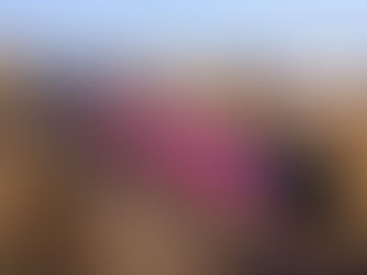 Cancellation of Midland Main Line electrification alters EMR's new train plans