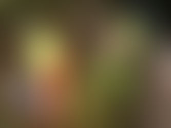 Hundreds of Bags of Waste Cleared from A14 During Roadworks Closures