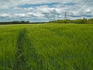 National Grid Begins Major Power Line Upgrade Between Dorset and Southampton