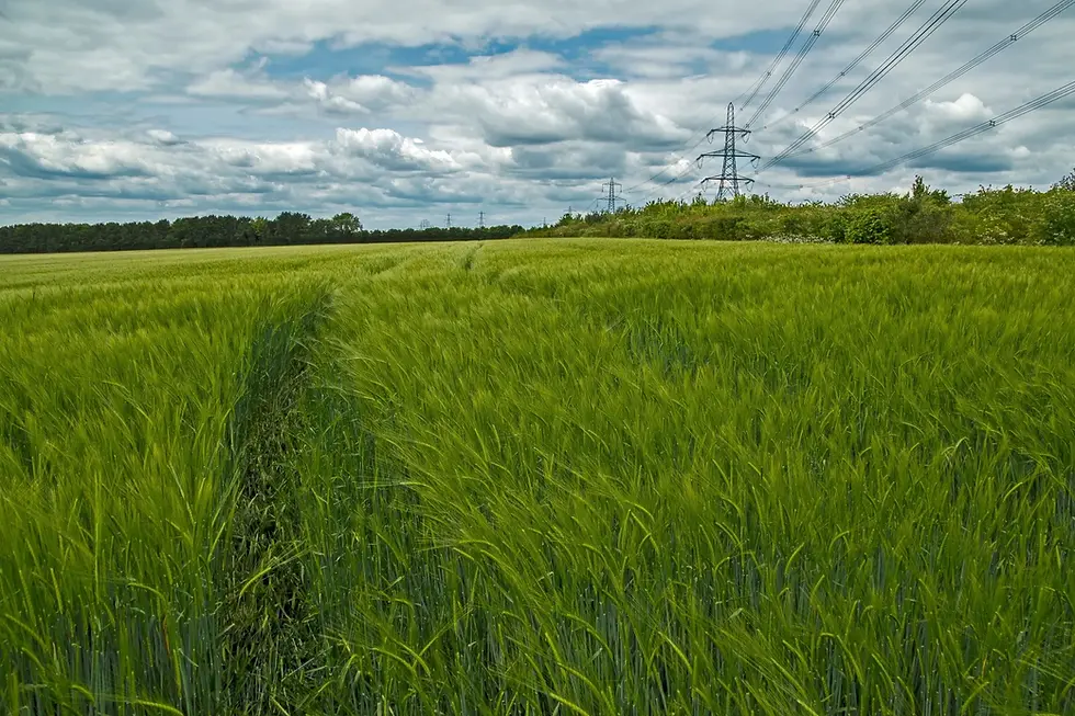 National Grid Begins Major Power Line Upgrade Between Dorset and Southampton