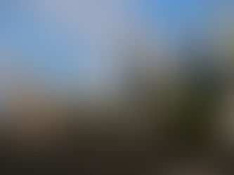 Free public transport rolled out in Australia as fuel crisis deepens