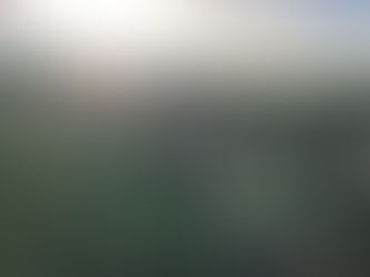 Tree-mendous effort on A417 Missing Link