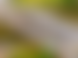 Completion of A465 Upgrade Sparks Debate Over Welsh Government Funding Model