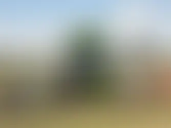 Lower Thames Crossing Set to Become UK’s First Carbon-Neutral Infrastructure Project as world’s first hydrogen powered digger gets to work