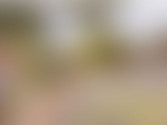 New Handforth to Wilmslow active travel route on track