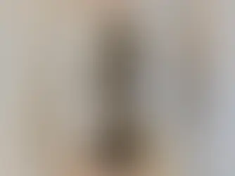 Ducklings Rescued from M4 and Taken to Wildlife Charity