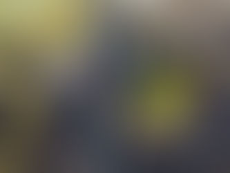 Gallows Corner Flyover Enters Final Phase as Road Markings Appear