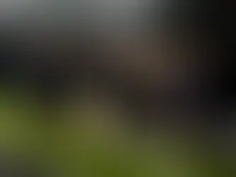 TLS Completes Triple Marathon Challenge in Support of Grieving Colleague’s Family