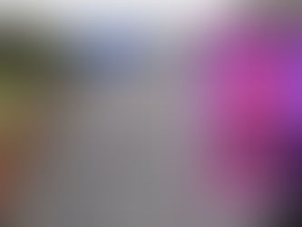 Court Hears Smart Motorway Failed to Warn of Broken-Down Vehicle in Fatal M4 Collision