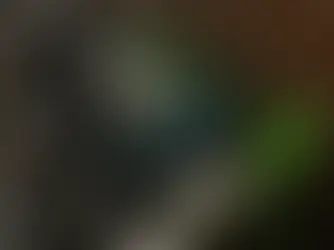 Richmond set for key vote on Lime’s future as e-bike users mobilise