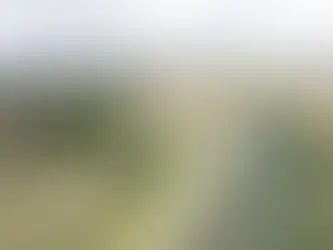 Three bidders shortlisted to supply hydrogen for LTC construction after tender relaunched with 67% higher prices