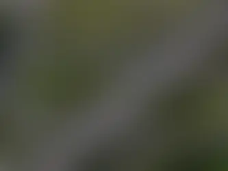 Major £200m road scheme gets government approval