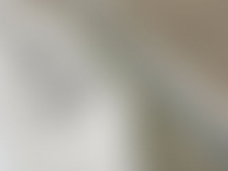 Highways boss says Isle of Wight Military Road won't collapse "anytime soon"