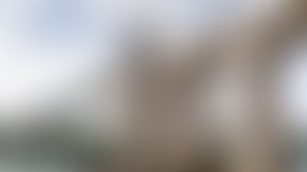 Tidal Flow Traffic System to Operate on Menai Suspension Bridge for Repairs