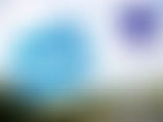 SNP Proposes Bringing Transport Scotland Back Under Direct Government Control