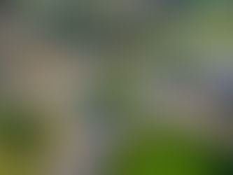 £165m Fund Launched to Unlock Housing and Jobs Through Transport Improvements