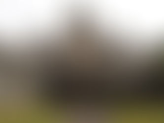 Transport for Wales and Edwards trial bus repower to electric