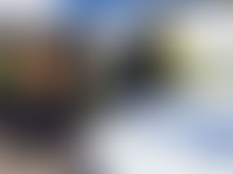 Thurrock Protest Injunction Extended to 2029 to Prevent Road Disruption