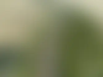 Transport Scotland Warns Sector Faces Stalled Growth Without Strategic Investment