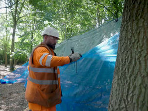 Octavius: Leaving a Legacy in Long Stratton