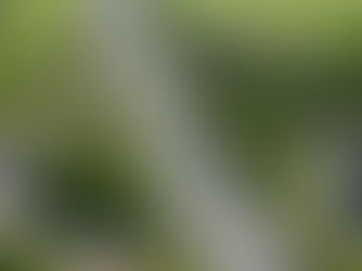 National Highways improving M5 safety with drainage scheme in Somerset