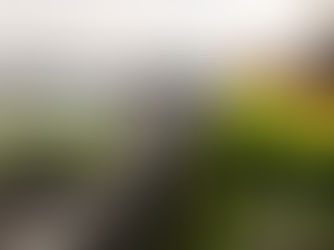 Family calls on National Highways traffic officers to rescue lost phone