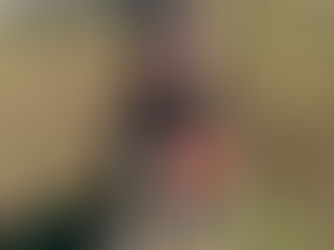 M42 scheme recycling drive benefits local communities