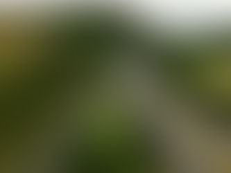 Section of M6 in Cumbria to close in both directions