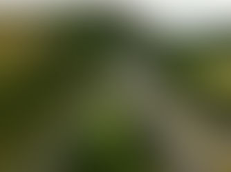 Section of M6 in Cumbria to close in both directions