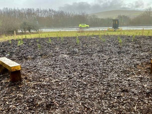 A30 Services to get its own tiny forest in National Highways first