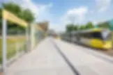 ree