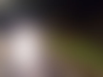 Major A12 Clean-Up Highlights Scale of Roadside Litter Challenge