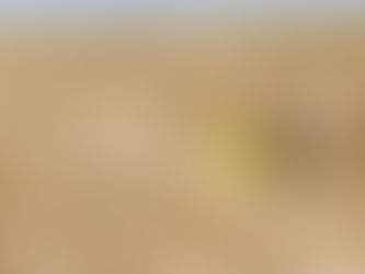 Engineers with a head for heights rock up for specialist work on National Highways’ A417 scheme