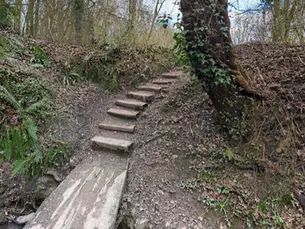 Nature reserve hidden between two busy roads in Cardiff that you’d never know was there
