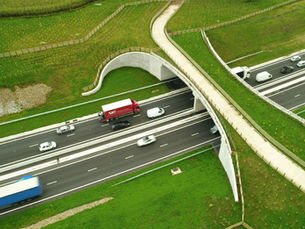 AtkinsRéalis and Jacobs appointed National Highways’ Environmental and Sustainability Technical Partner