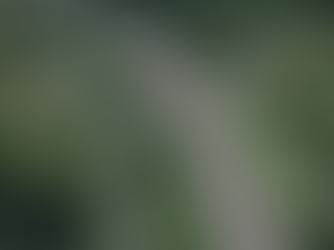 Scottish Government Reaffirms Priority on Sheriffhall Roundabout Upgrade Amid Delays