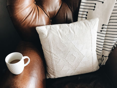 Cozy Chair for Telehealth