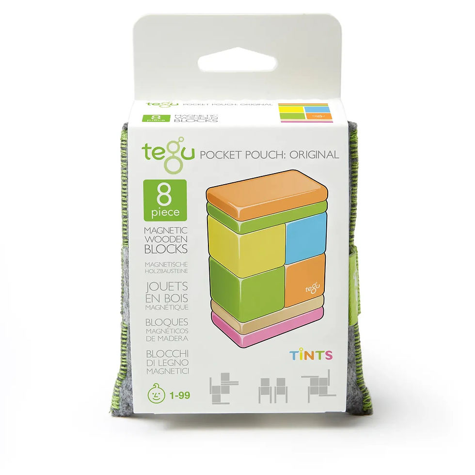 Tegu Pocket Pouch - Tint
