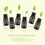 Miniature : 6 huiles essentielles Aromathérapie, 10ml  .33fl oz chacune (Orange, Lavande, Ar