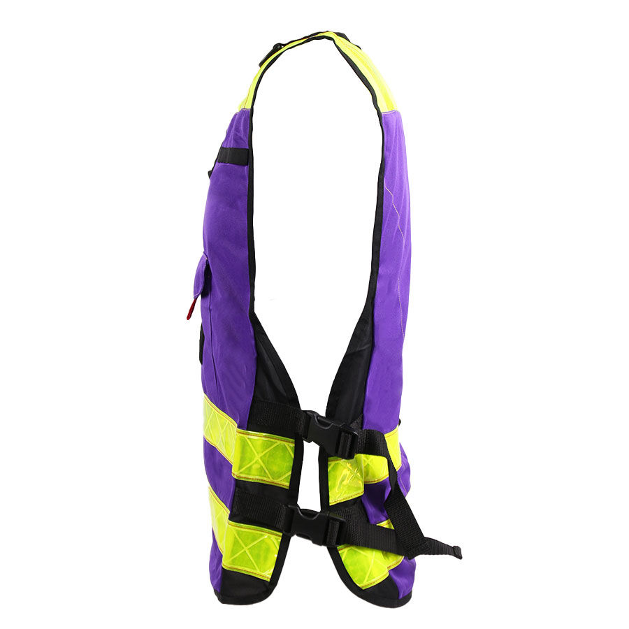 Miniature : PADDOCK Violet