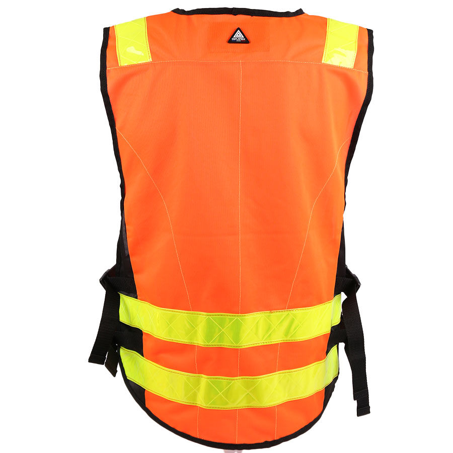 Miniature : PADDOCK Orange