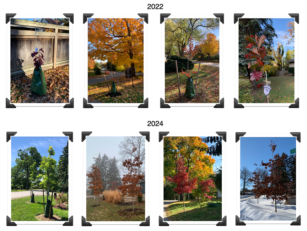 pics20222024.png