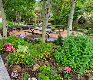 Garden 2020a.jpg