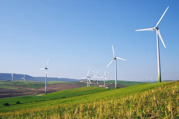 Energy Management Certification