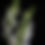 Thumbnail: Snapdragon