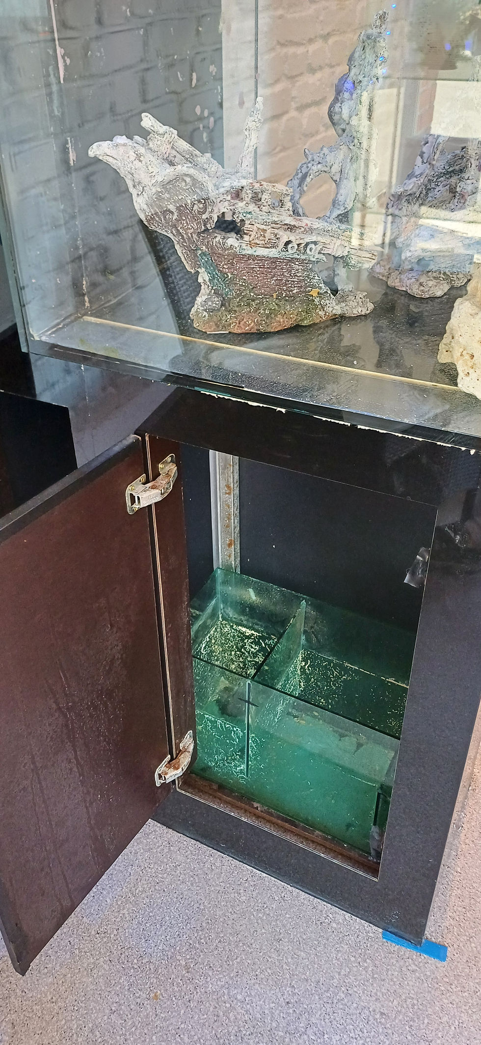 Miniature : Aquarium marin avec décante