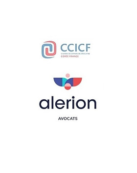 10_Octobre_2013_Séminaire_Alerion.jpg