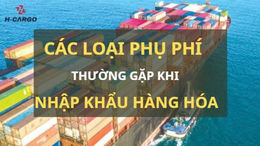Các loại phụ phí thường gặp khi nhập khẩu hàng hóa