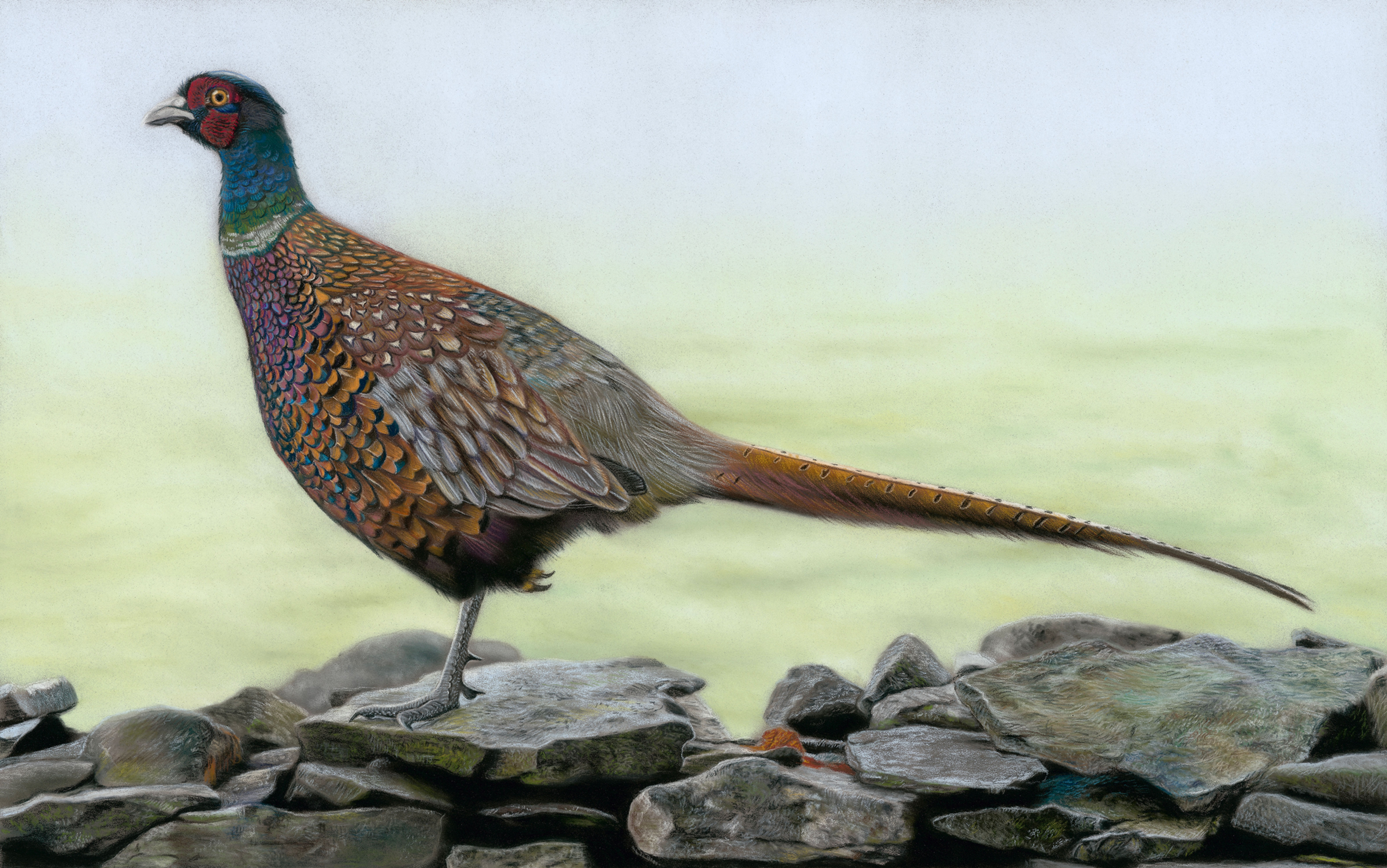 On the lookout - Limited Edition Print